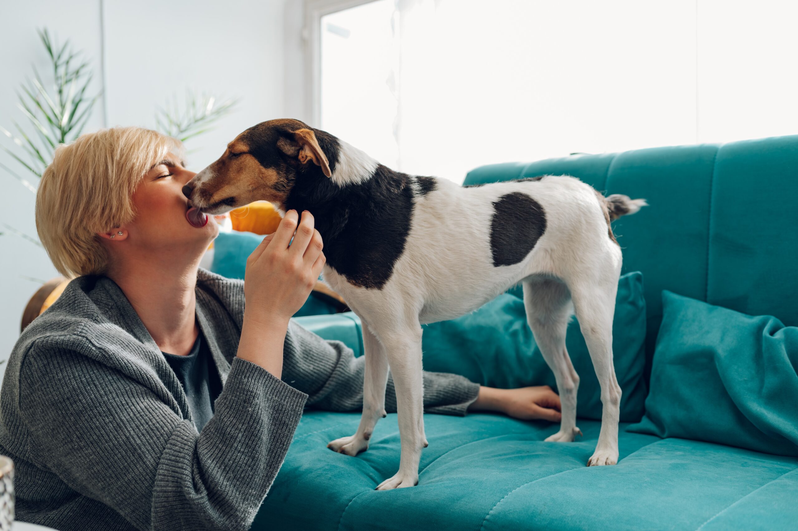 O que seu pet faz com o seu cérebro? A neurociência explica essa conexão poderosa