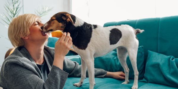 O que seu pet faz com o seu cérebro? A neurociência explica essa conexão poderosa