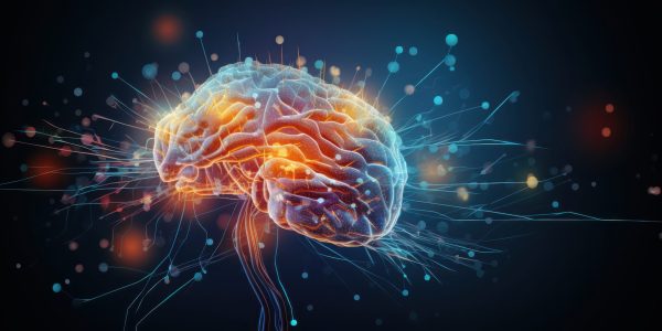 A,Digital,Rendering,Of,A,Human,Brain,Showcasing,Neural,Pathways